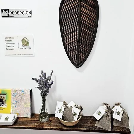 5 Pers Leon * Villafane