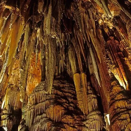 5 Pers Leon Villafane